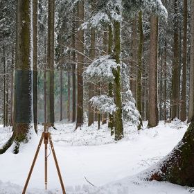 Winterwald